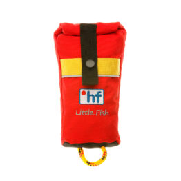 little fish little fish