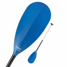 Palm_Alba_Blue Palm_Alba_Blue