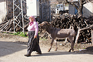 Auf dem Lande in der Südtürkei.